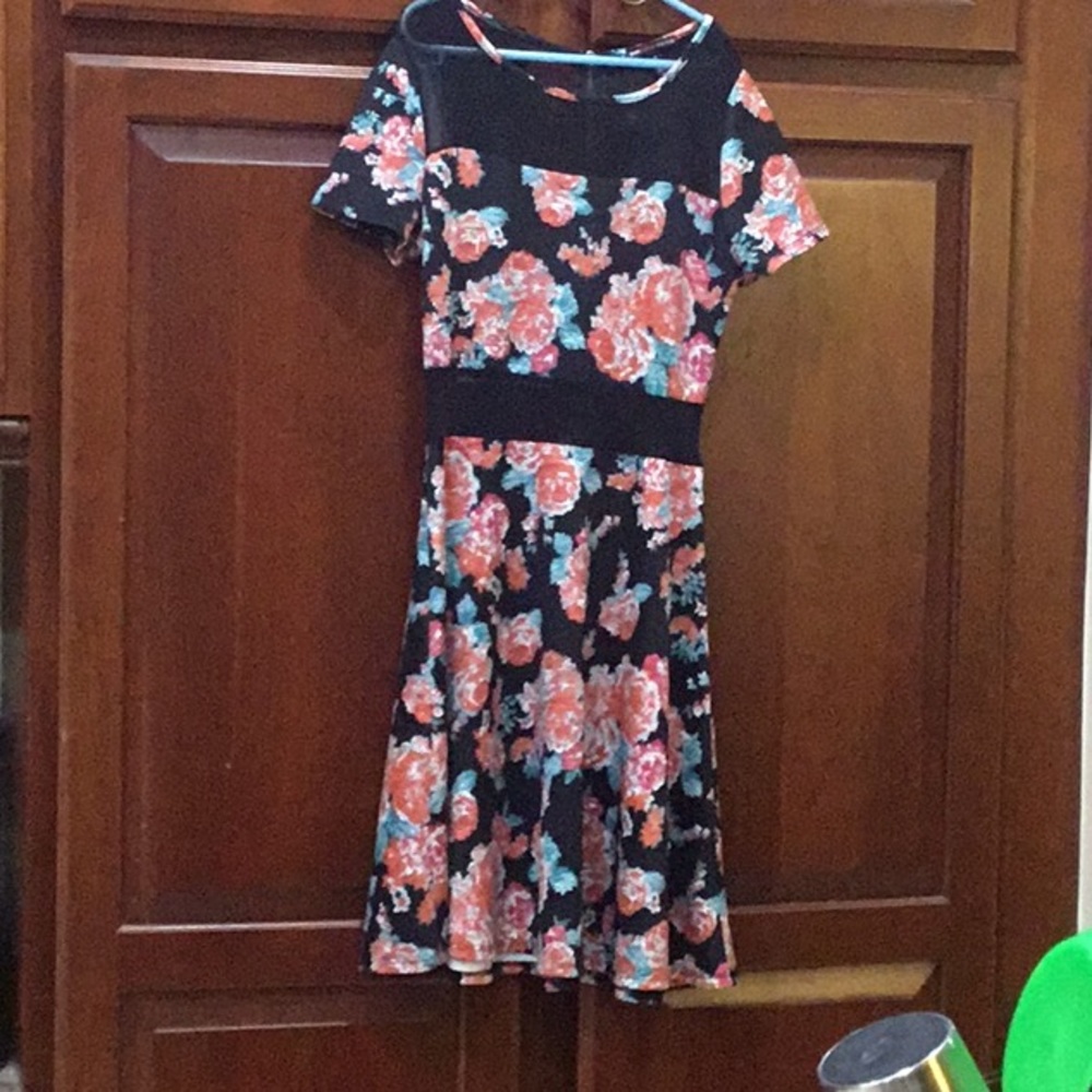 Mesh Floral Minidress